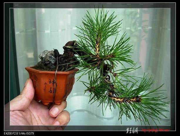DSCN5840.jpg1.jpg