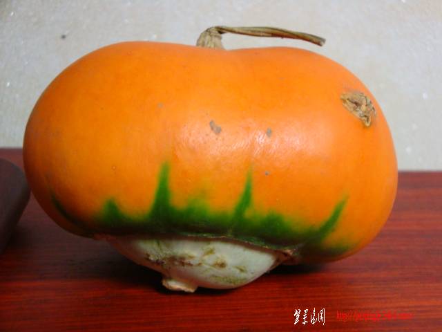 DSC05924.JPG