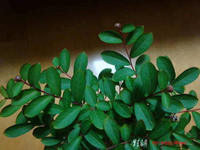 DSC05926.JPG