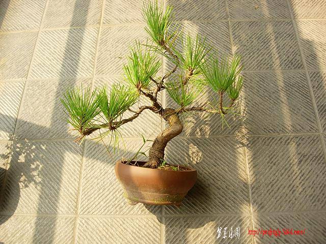 DSCN3589.JPG