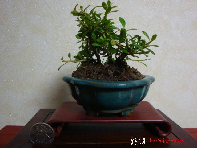 DSC05945.JPG