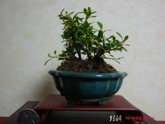 DSC05946.JPG