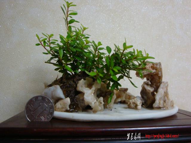 DSC05943.JPG