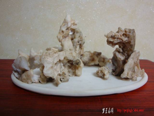 DSC05927.JPG