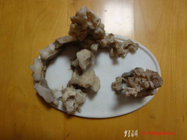 DSC05928.JPG