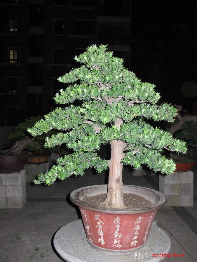 ޺2.jpg