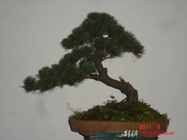 DSC01650.JPG