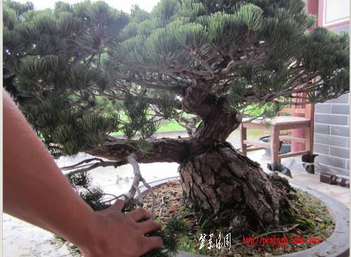 abbr_fe400ee2b5f7cc71d31fc6ef9763e20d.jpg