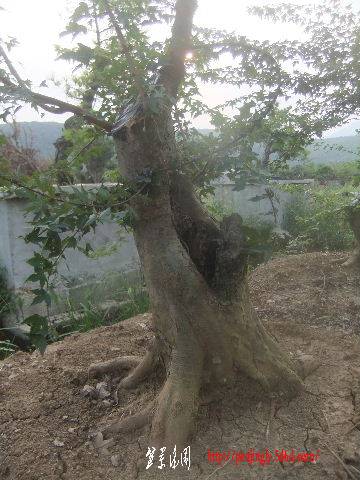 2011_09080123.JPG