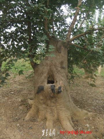 2011_09080143.JPG