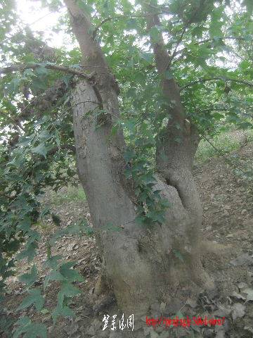2011_09080133.JPG