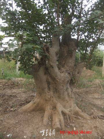 2011_09080140.JPG