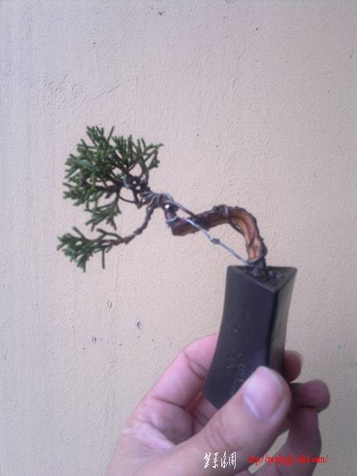 20110909250.jpg