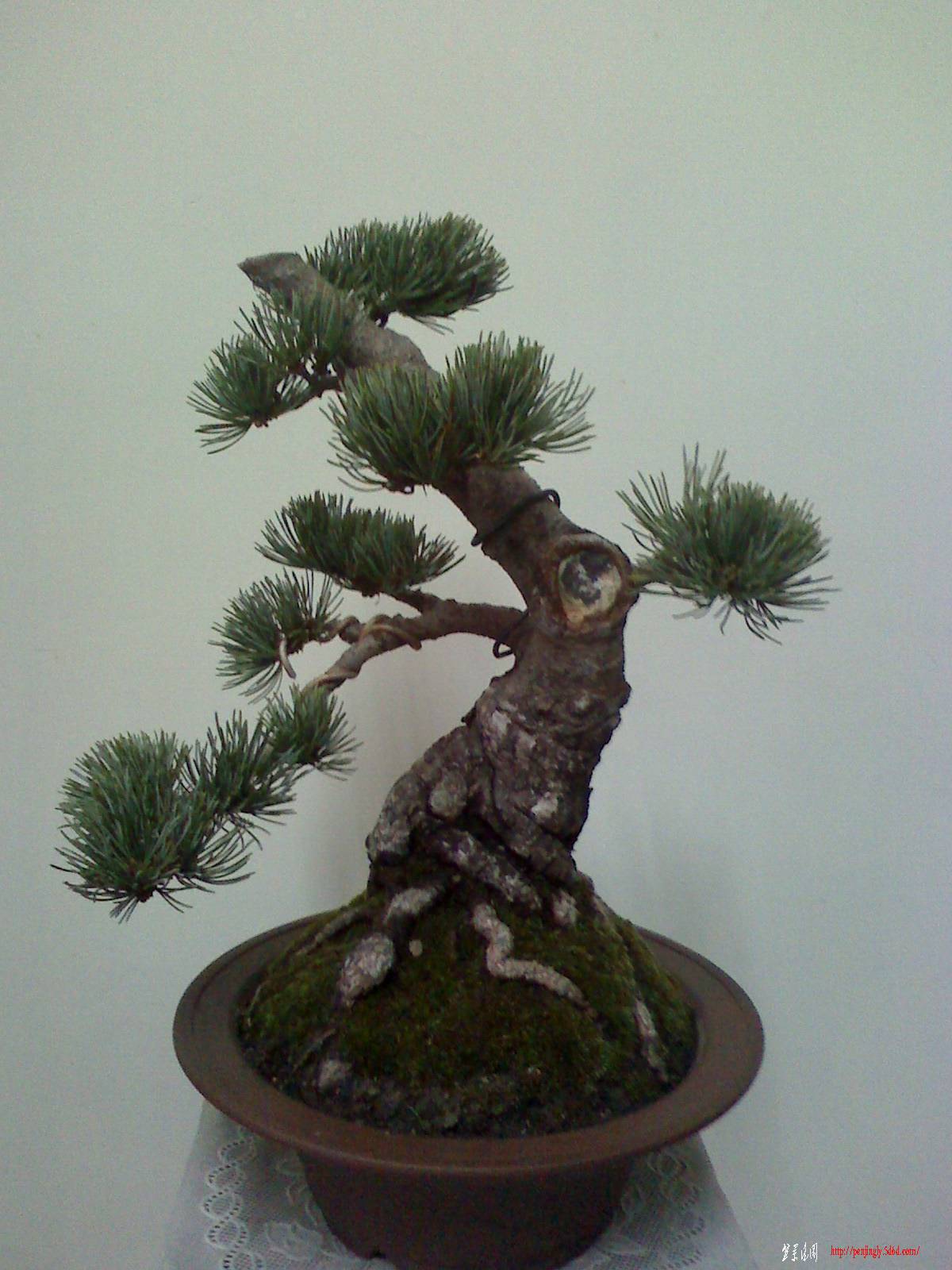 IMG0909171800.jpg