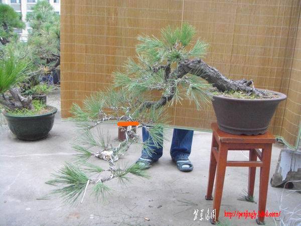 110909194697d10a530de58ada (1).jpg