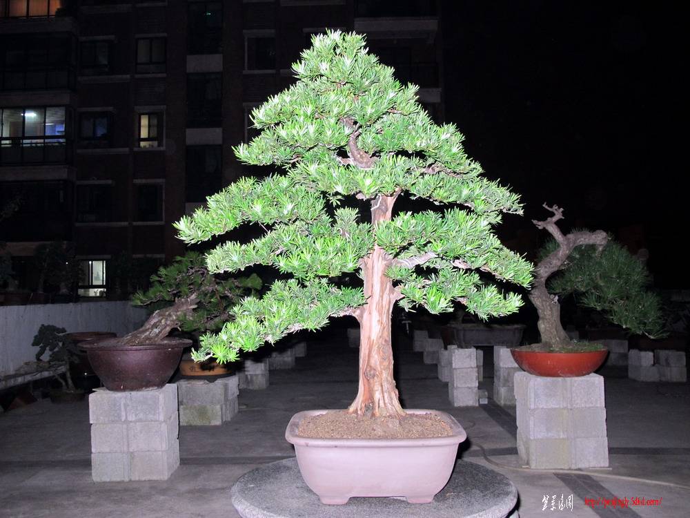 ޺.jpg