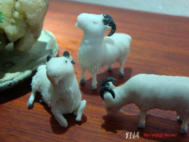 DSC06004.JPG