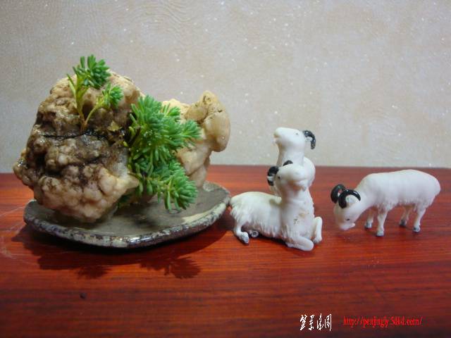 DSC06001.JPG