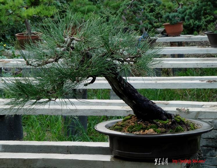 DSC06800.JPG