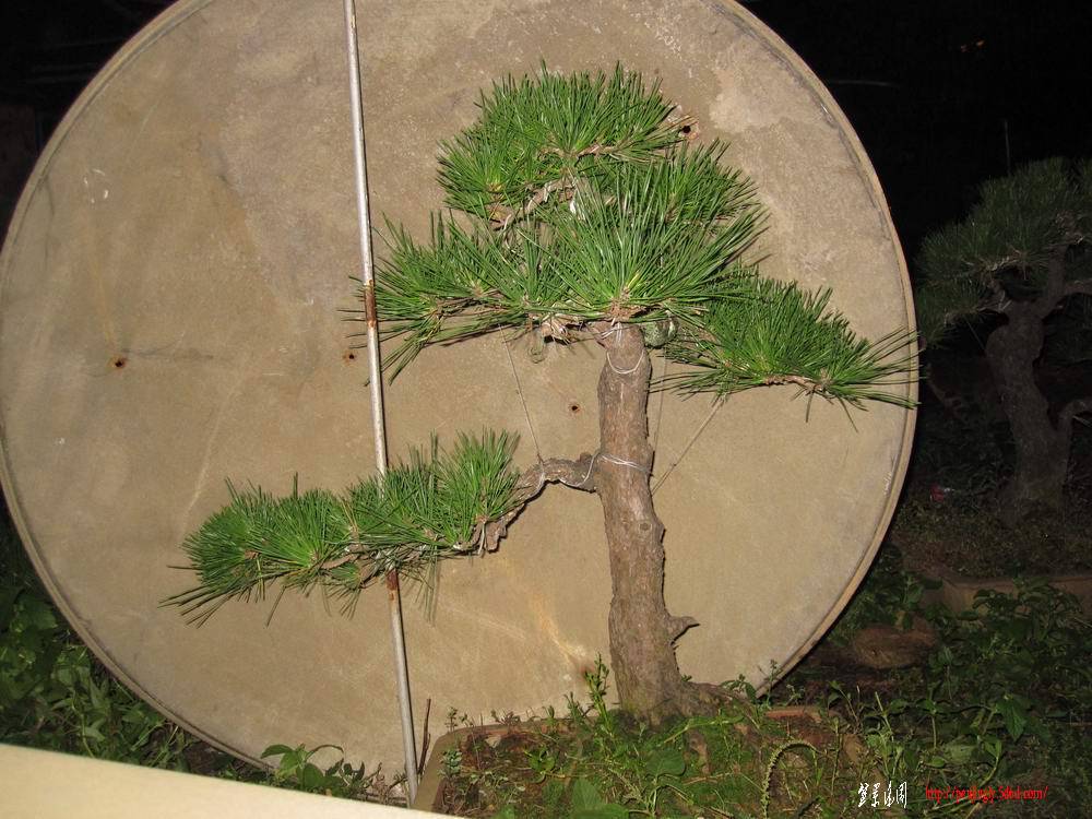 IMG_2411.jpg