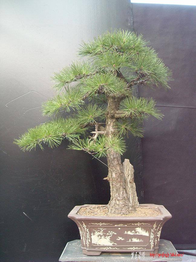 DSCN1208.JPG