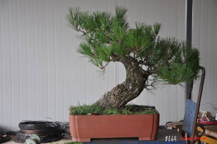 Ƭ 059.jpg