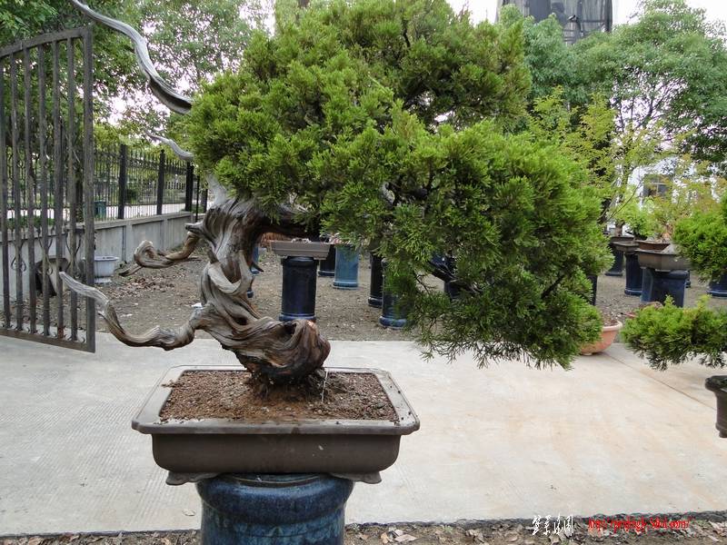 DSC05875.JPG