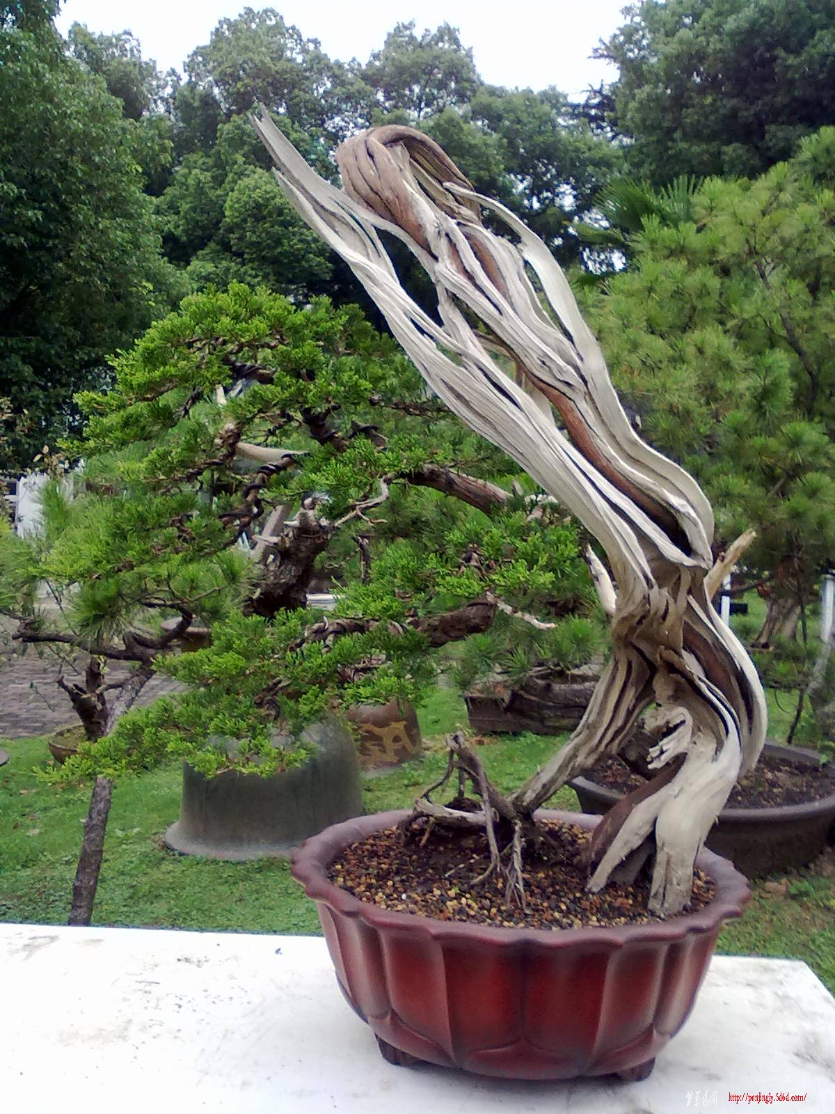 20110908703.jpg