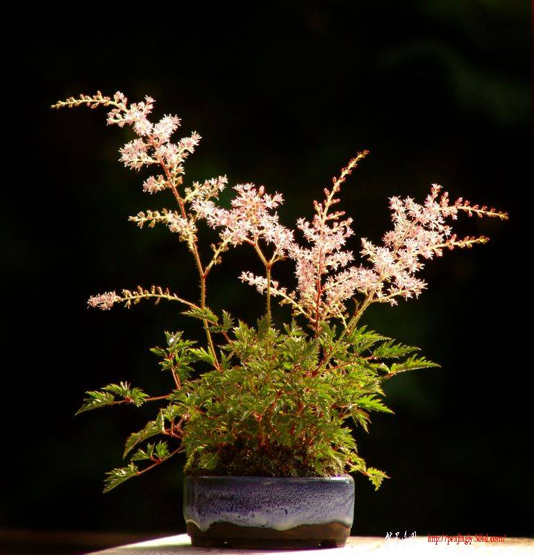 dsc07604.jpg
