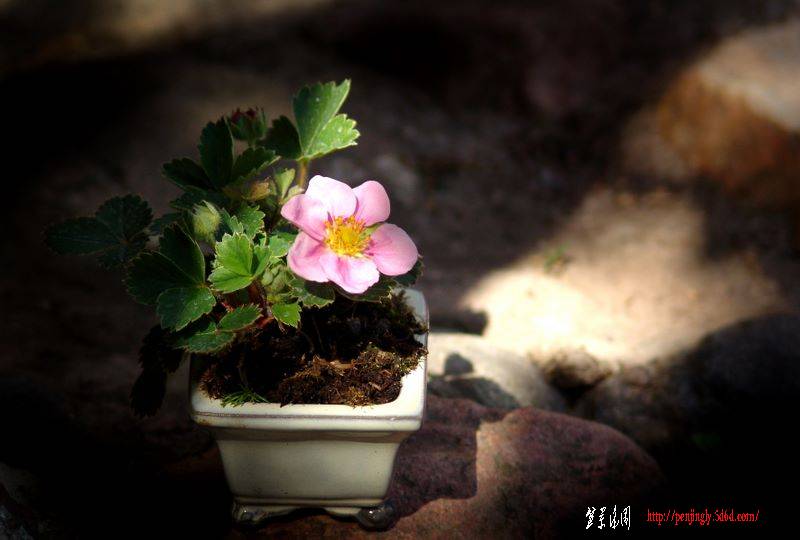dsc09588.jpg