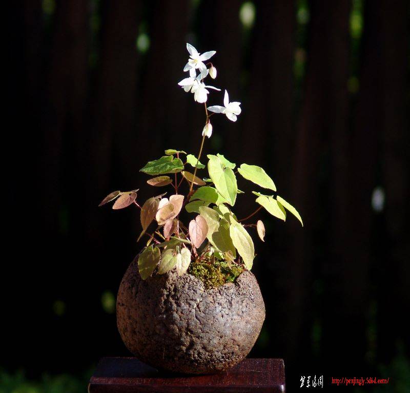 dsc01325.jpg