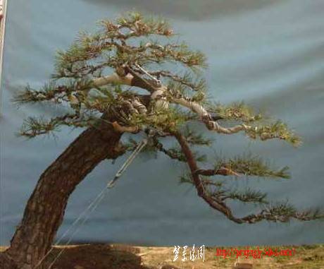 QQͼ20110916165241.jpg