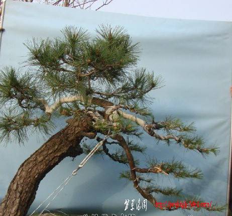 QQͼ20110916165131.jpg