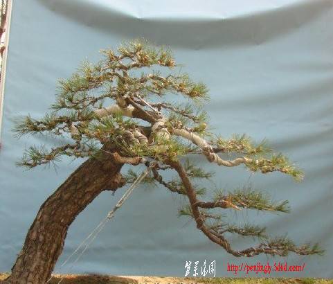 QQͼ20110916165200.jpg