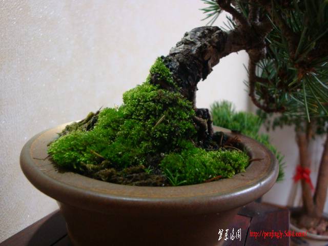 DSC06060.JPG