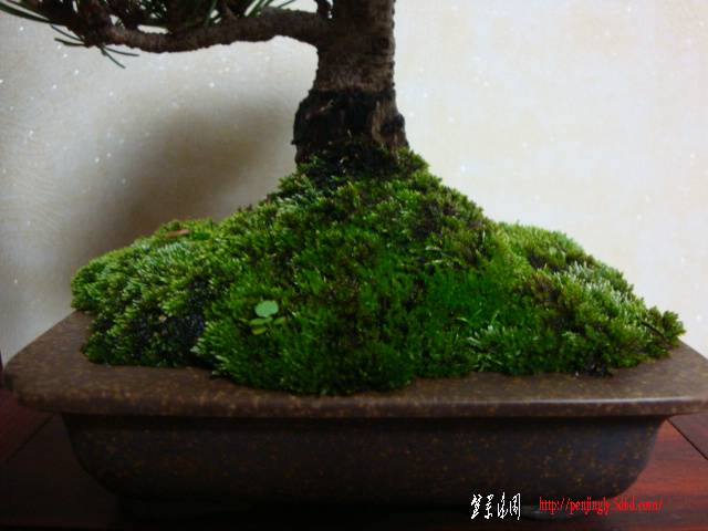 DSC06059.JPG