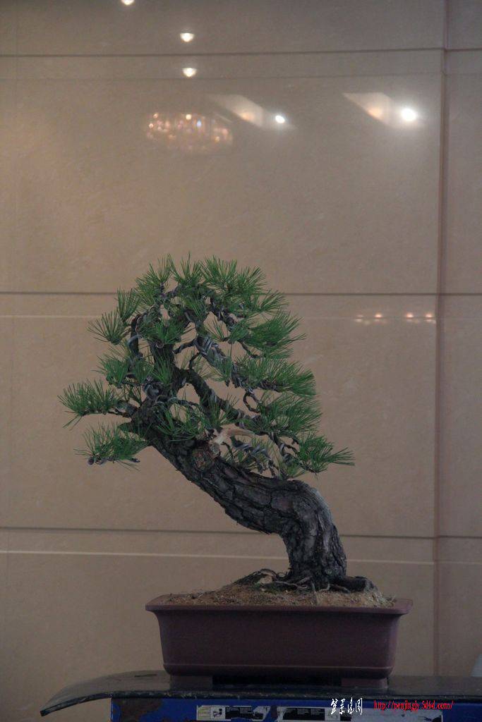 IMG_1880.jpg
