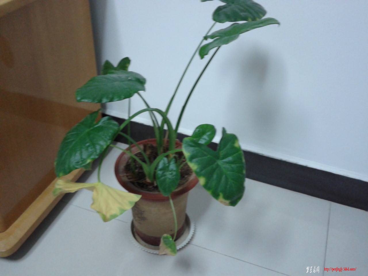 2011-09-18 21.42.59.jpg