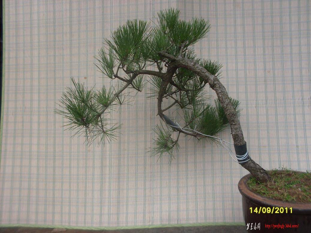 SDC10311.JPG