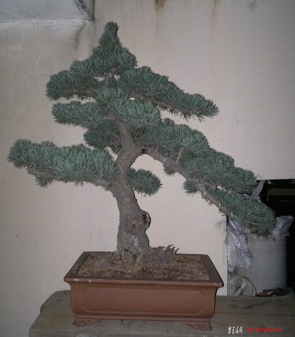 20110919273.jpg