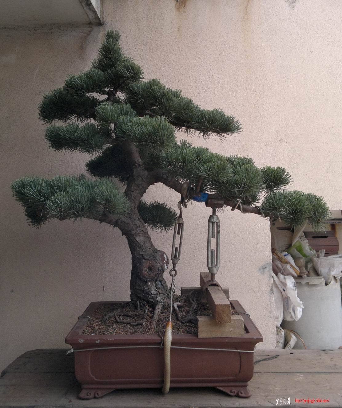 20110920275.jpg