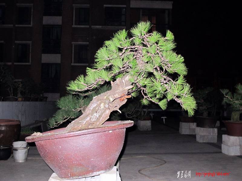 β2.jpg