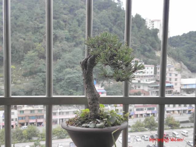 P9211275 (640x480).jpg