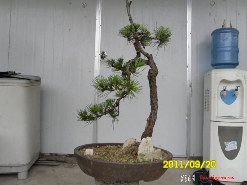 SDC11612.JPG