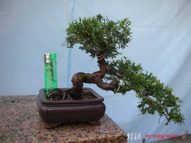 С DSCN4305.jpg
