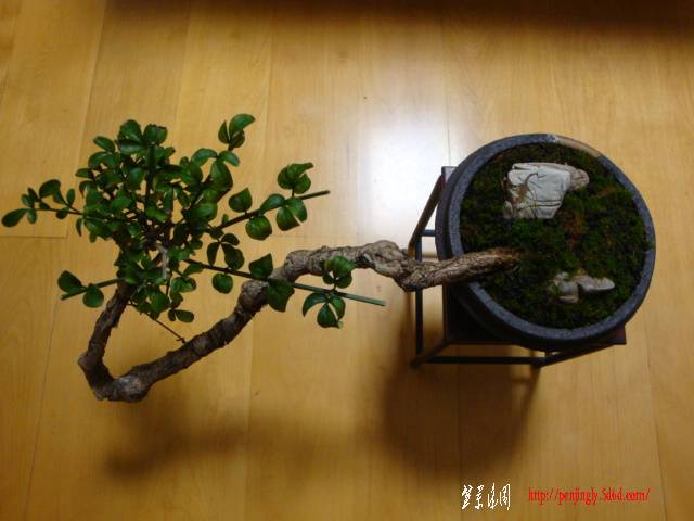 DSC06087.JPG