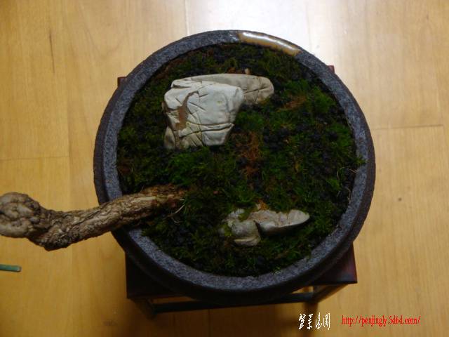 DSC06088.JPG