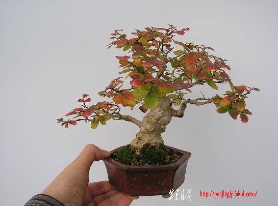 360ͼ20110918130521081.jpg