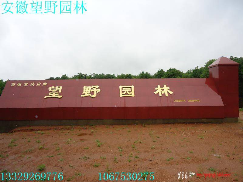 DSC01823.jpg
