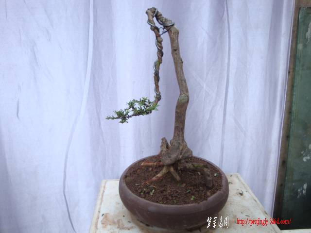 DSC05017.JPG